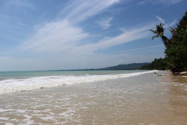 coconut beach1
