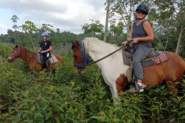 horse ride 1